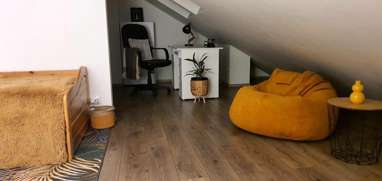 Hoobee Home & Rooftop Terrace Târgu-Mureş Екстериор снимка
